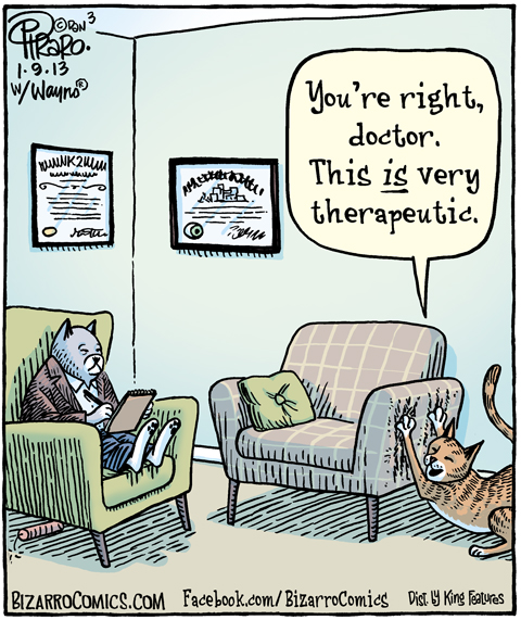 bz-panel-01-09-13-Cat-Therapy-Shrink-Off