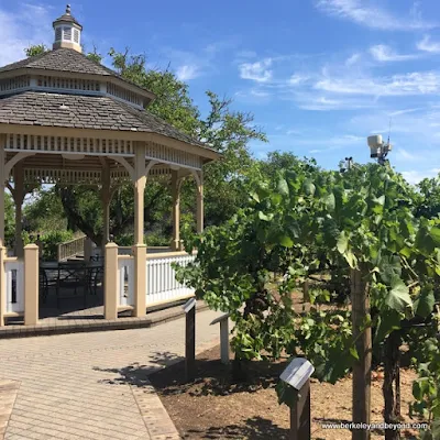 Wine Sensory Gardens at Kendall-Jackson Wine Estate & Gardens in Fulton, California