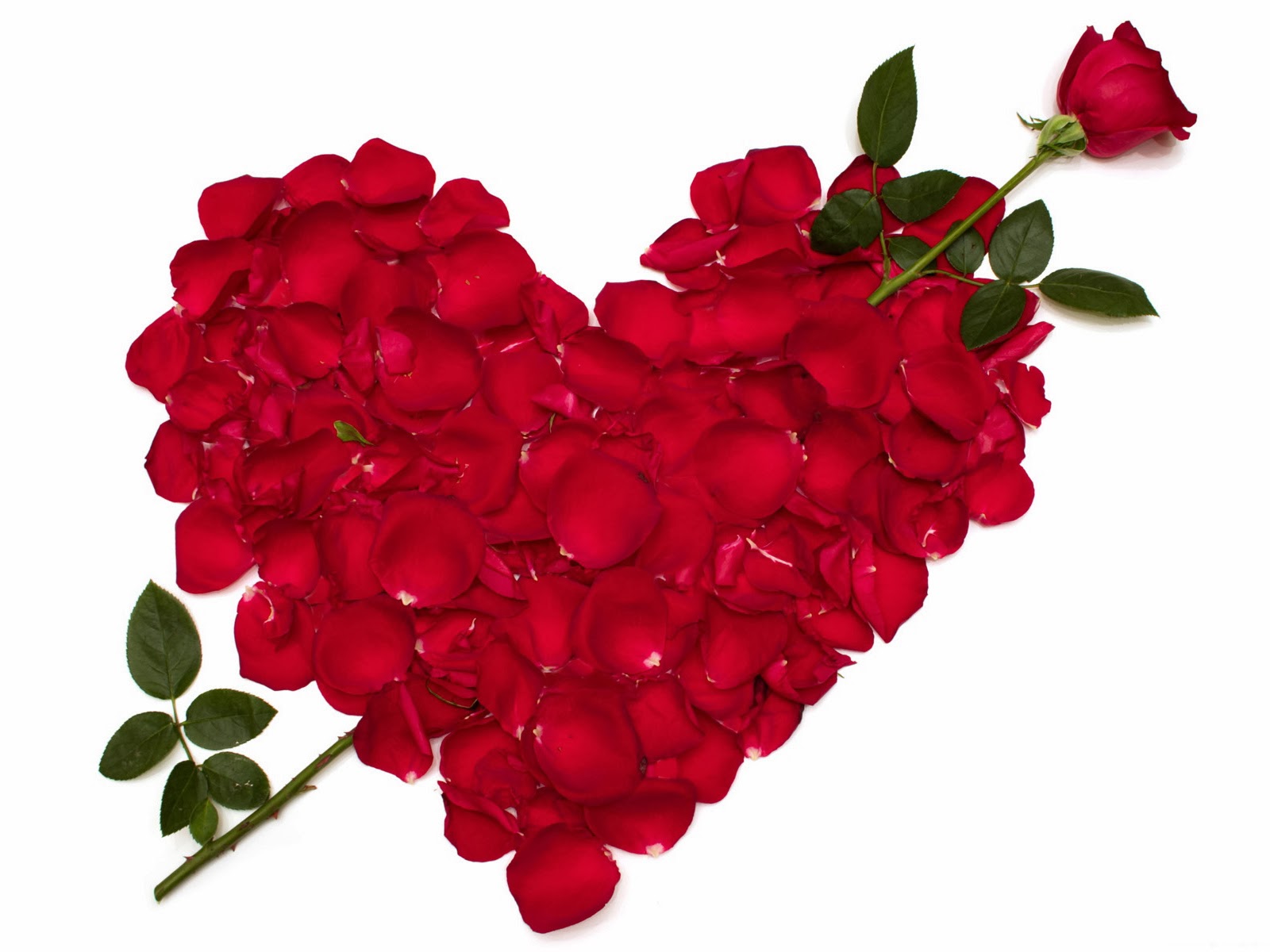 All New Wallpaper Red Roses Heart Shape Computer Wallpaper Free
