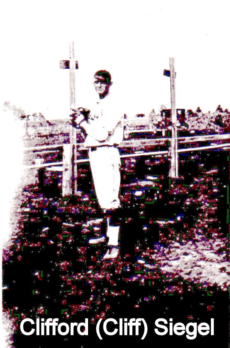 Boerger Pictorial History Ft. Loramie Baseball Team