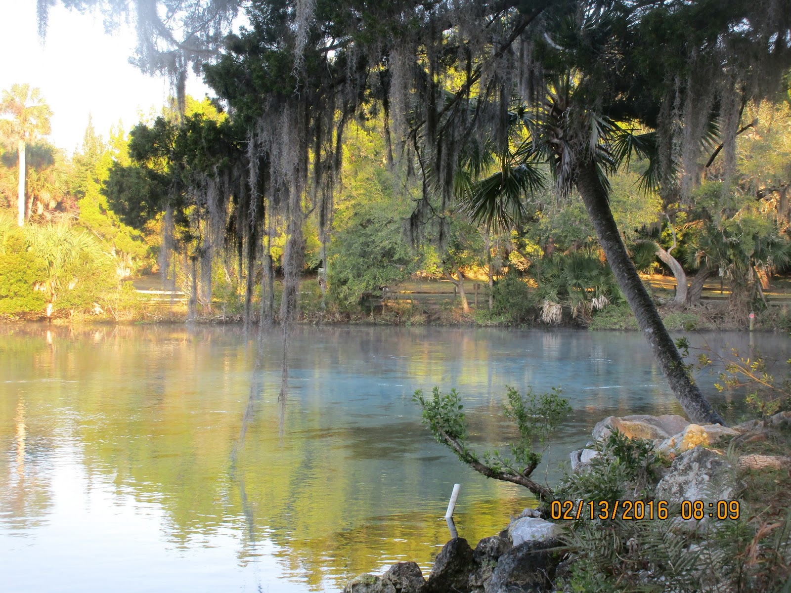 Dave's Yak Tales Salt Springs Run, Ocala National Forest