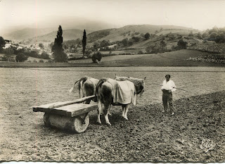 https://paysbasqueavant.blogspot.fr pays basque autrefois