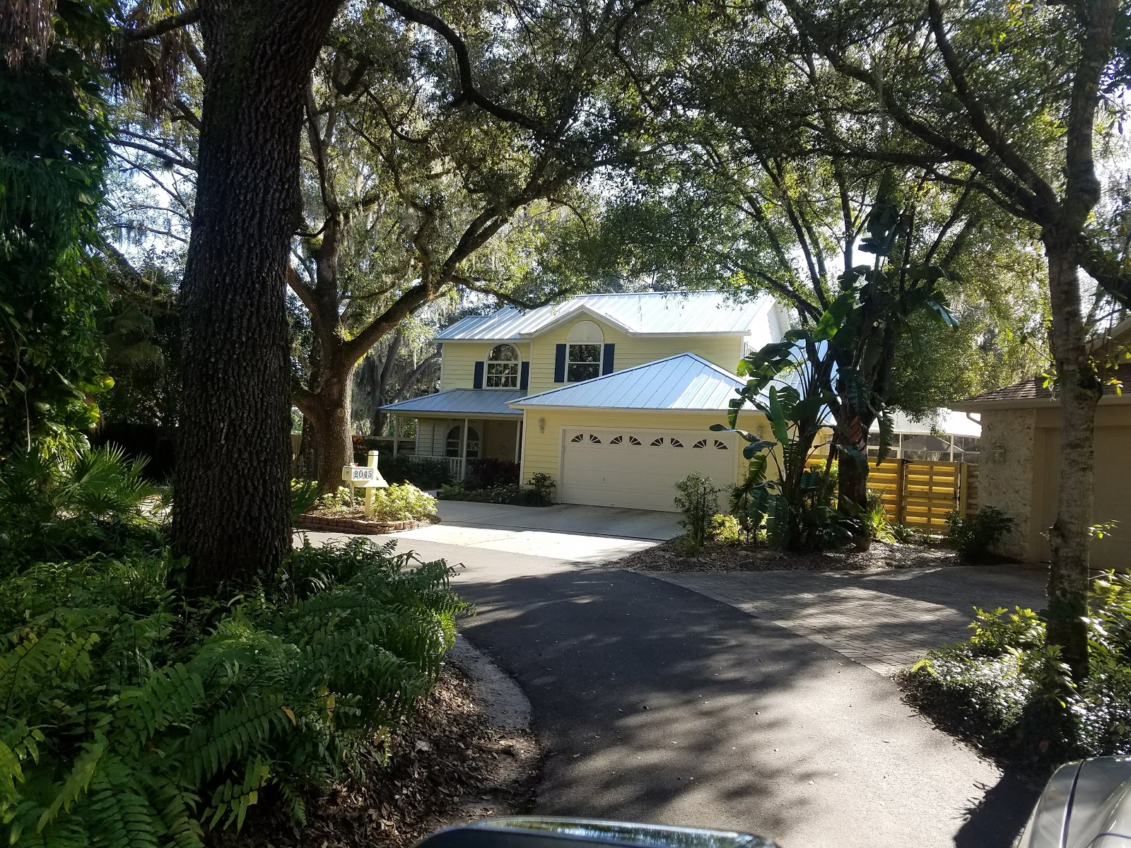 Pest Control In Sarasota Pest Control