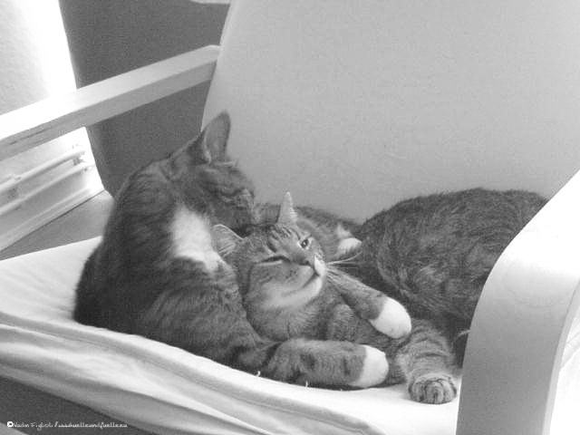 Noch Drei Tage Dann Ist Es Soweit Britta Bloggt