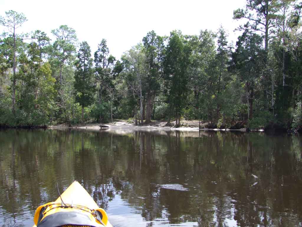 Kayaking the MobileTensaw River Delta 10/10/2009 Lower Escatawpa River