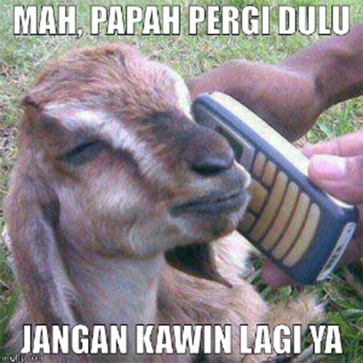 Meme qurban idul adha - Gambar DP Meme