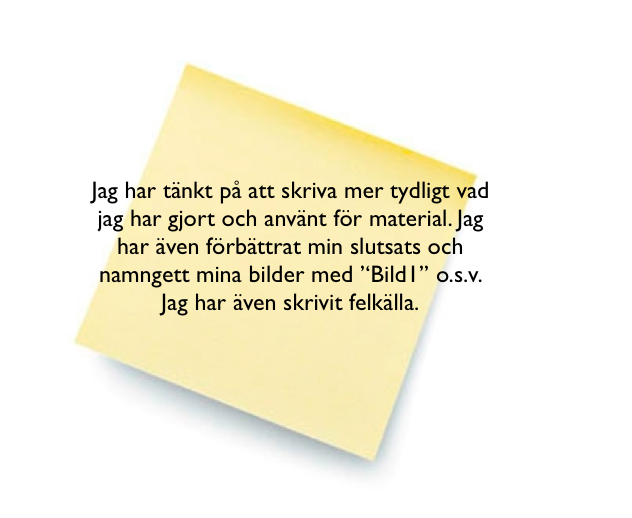 Rebeckas digitala portfolio: Saker jag har förbättrat med min labbraport