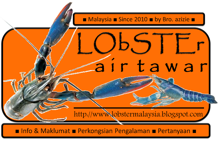 © Lobster Air Tawar Since 2010 by Bro. azizie