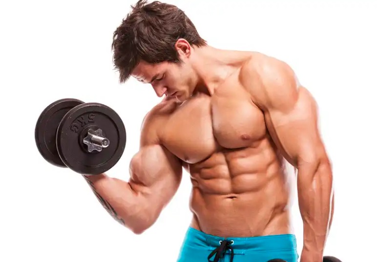 Musculation Combien de Séries Répétitions