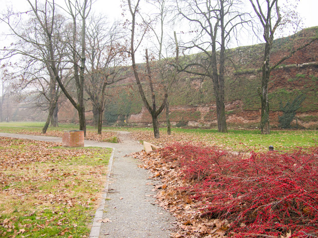 Parcul Cetatii, Oradea