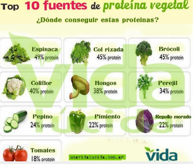 FUENTE DE PROTEÍNAS FUENTE DE PROTEÍNAS