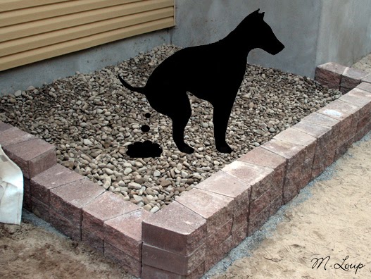Zouki Canin: Un petit coin 'toilette' extérieur pour Pitou Zouki Canin: Un petit coin 'toilette' extérieur pour Pitou