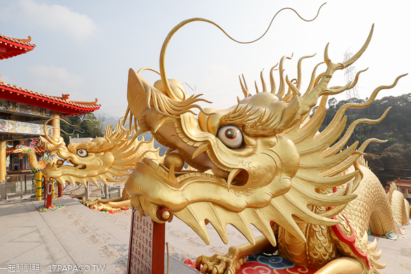中寮金龍山法華寺兩尾亞洲最長80米金龍護持,還有雙鳳凰迎賓 中寮金龍山法華寺兩尾亞洲最長80米金龍護持,還有雙鳳凰迎賓