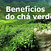 23 benefícios do chá verde para sua saúde, perda de peso e pele