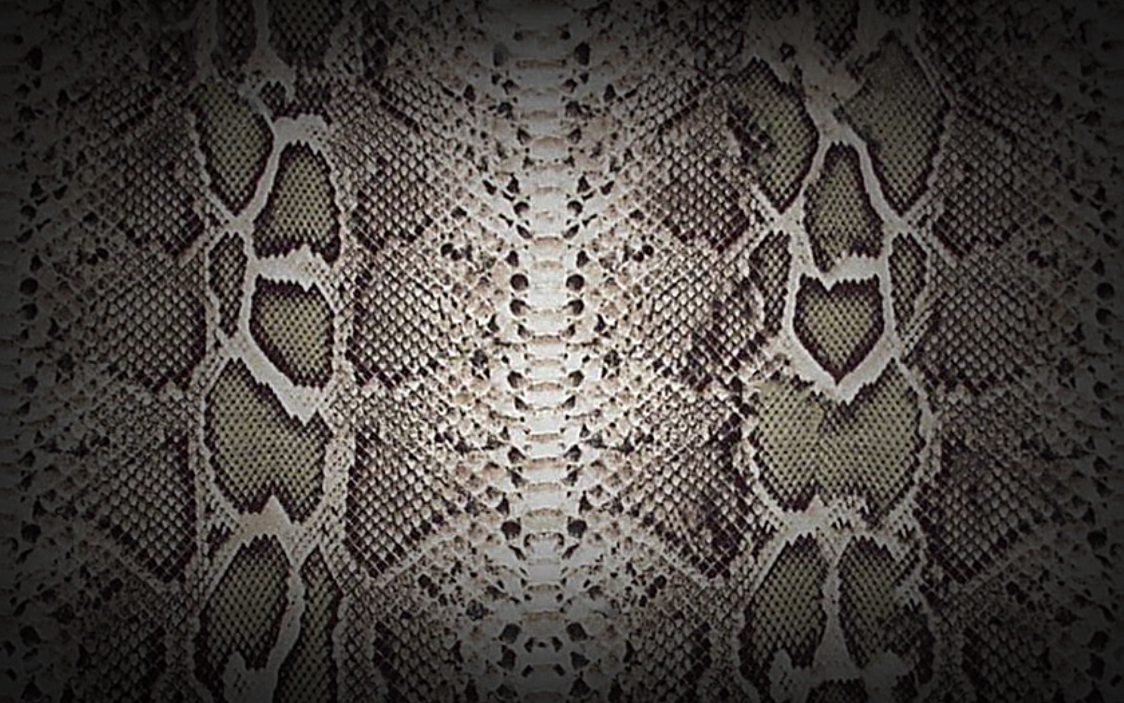 wallpaper: Snake Skin Wallpapers