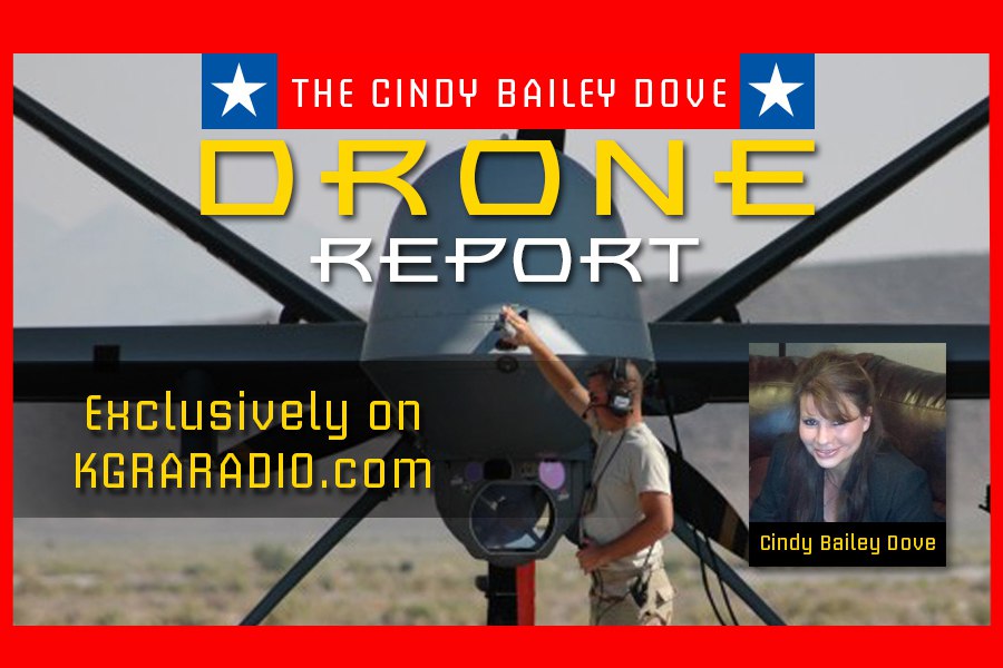 The Drone Report