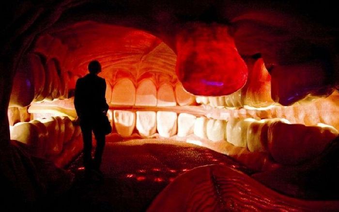 Cool FunPedia: Most Shocking Anatomical Museums In The World