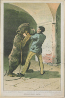 Дефорж (Дубровский) и медведь