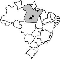 Brasil-Santarém-200 Brasil-Santarém-200