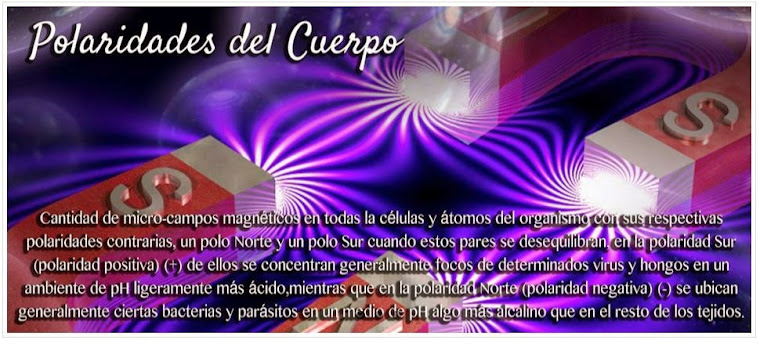 TRATAMIENTO DE IMANES visual data 2