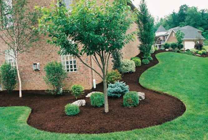 These Beautiful 30 Backyard Landscaping Design Will Grab Your Attention