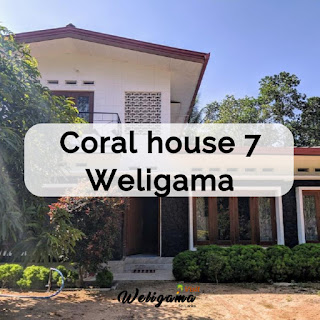 Coral house 7 | Rent Houses and Apartments in Weligama Sri Lanka