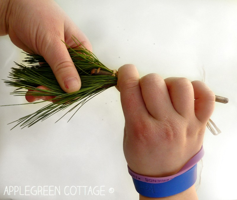 DIY Nature Paint Brushes for Kids AppleGreen Cottage