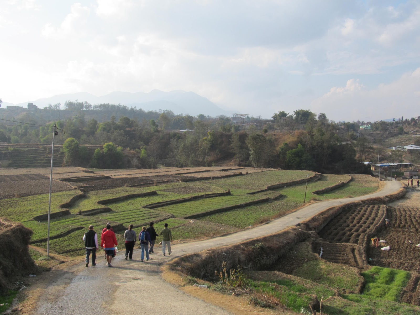 Madness and Beauty A Saturday Stroll with the Himalayan Hash House