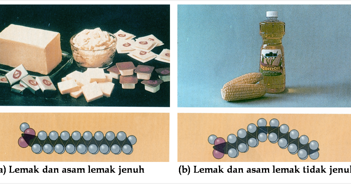 Lemak Jenuh dan Lemak Tak Jenuh my blog