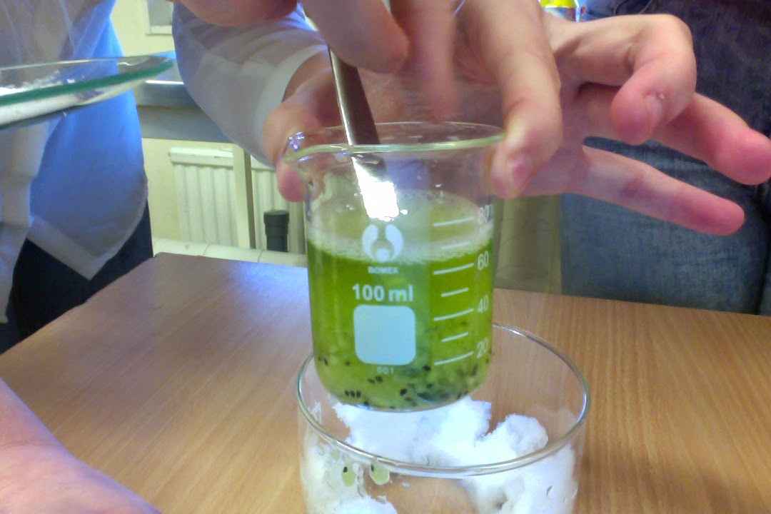 Amandas skolblogg LAB DNA från en Kiwi