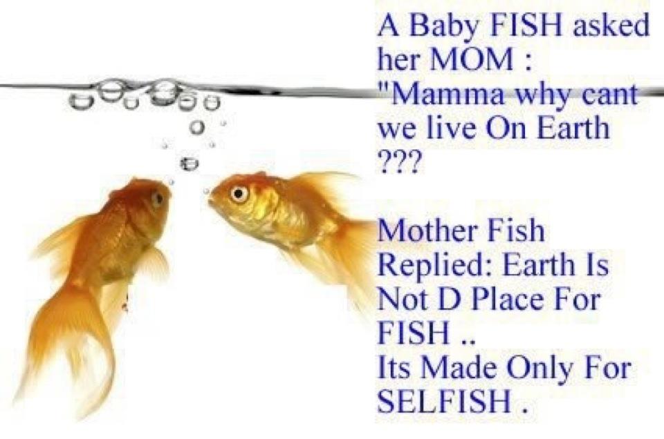 Mother fish. Selfish рыба. Quotes about Fishing. My mother is a Fish.