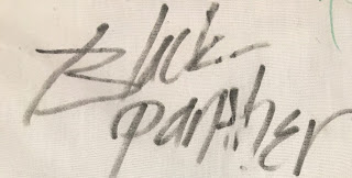 Black Panther Autograph Disney Parks