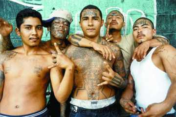 Ian Battrick: Baja, Mexico