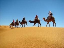 Camel Trekking Morocco