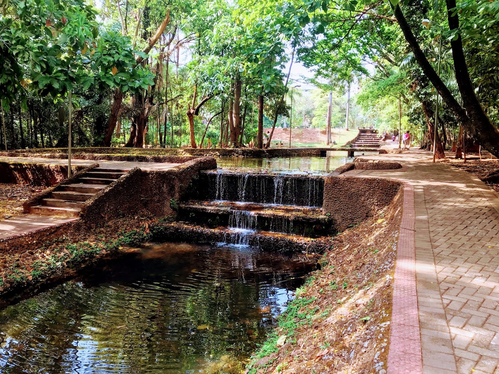 Bosque dos Buritis em Goiânia (GO) Áreas Verdes das Cidades Guia de Parques
