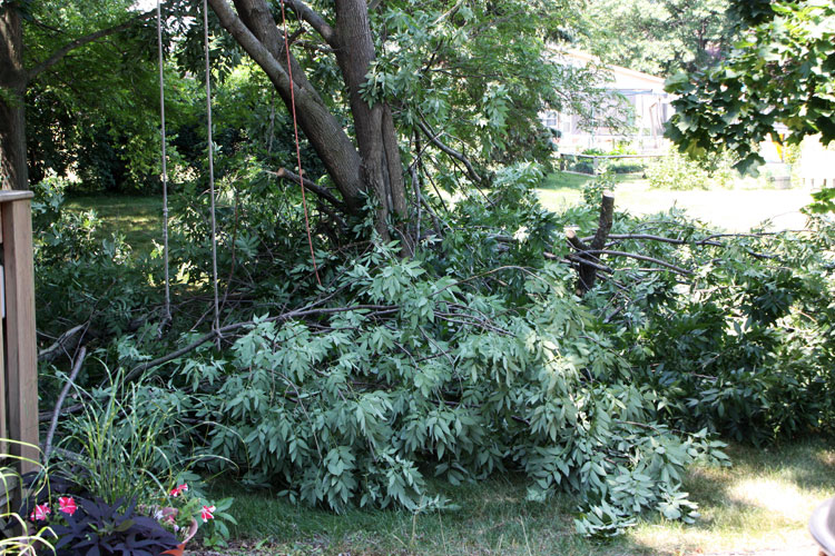 A year in the lens&hellip; September 2011