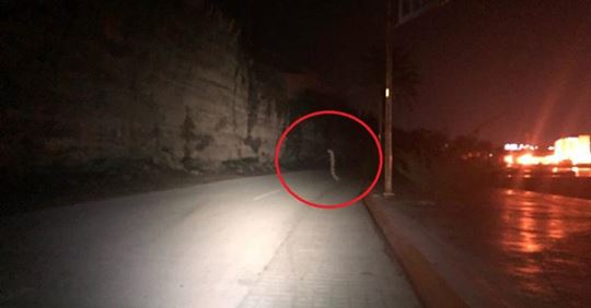 Ciclista asegura haber captado un gusano gigante completamente erguido similar al de Men in Black safe image.php safe image.php Ciclista asegura haber captado un gusano gigante completamente erguido similar al de Men in Black