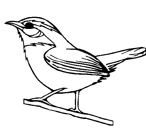 ga state bird coloring pages - photo #16