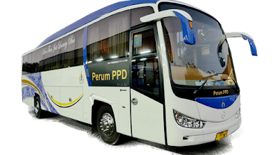 bus VIP Exclusive Perum PPD