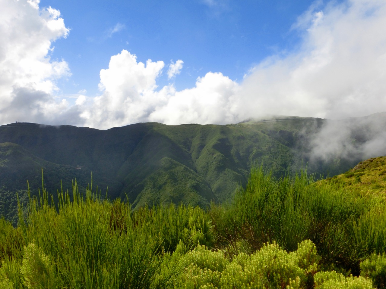 Paradies Goes Madeira Durch Den Lorbeerwald