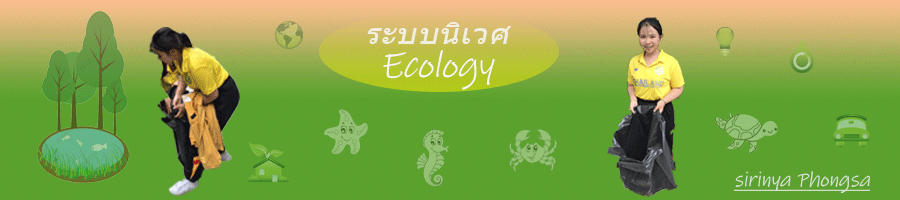 ระบบนิเวศ ( Ecology )