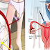 Girls 18-44 Years Old :Things You Need To Know About Polycystic Ovary Syndrome