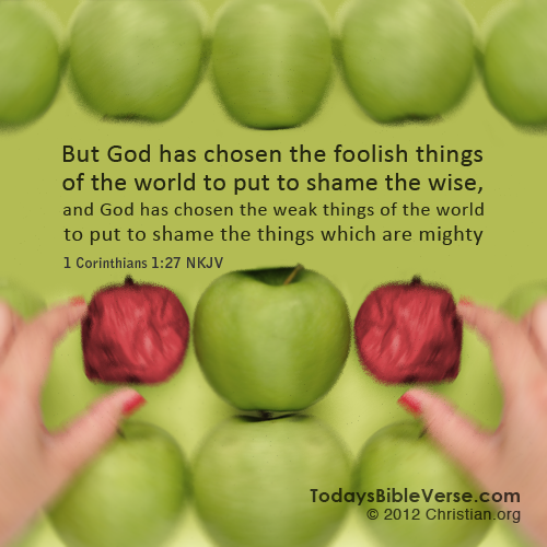 On Bended Knees Holy and gracious Father, I know that the Cross may