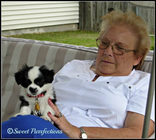 Grandma Faye and Bandit in the Swing #ShedHappens