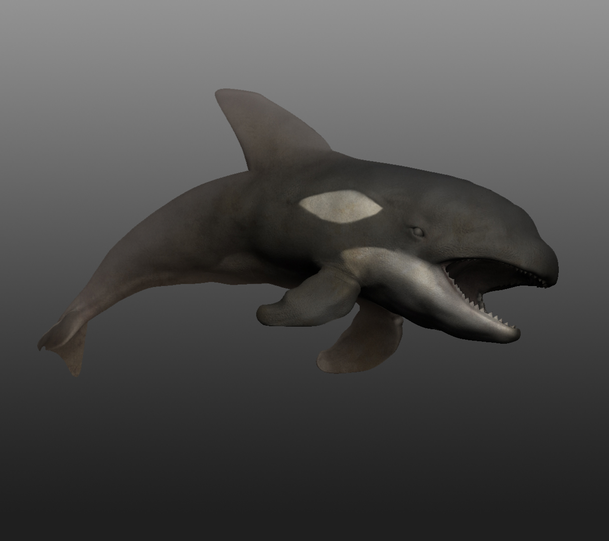 The HOUR of POWER: 2012-01-22