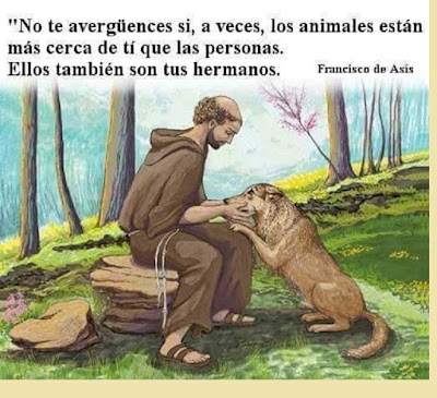 Imagen relacionada