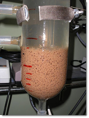 Avibert Granulación aerobia Tecnologías de Tratamiento de Aguas Residuales