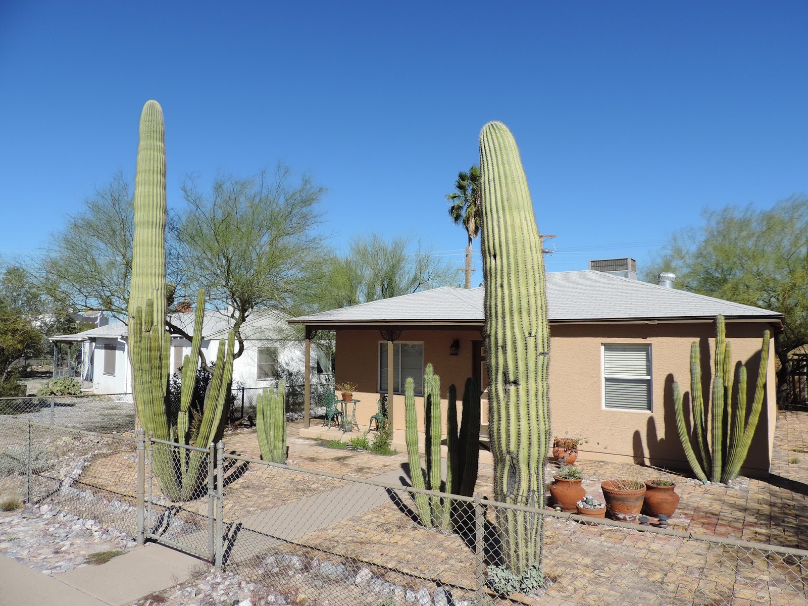 Travel with Kevin and Ruth Enjoying Ajo, Arizona