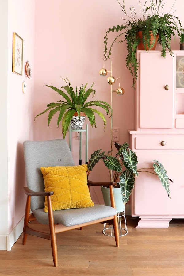 decoración estilo ecléctico y plantas