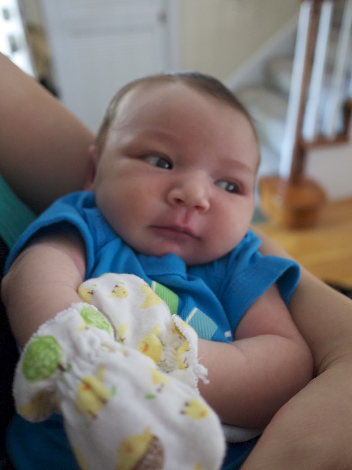 Baby Nugget lil chung's lil adventures